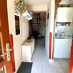 Akacvirag Vendeghaz * Sarud