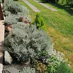 Akacvirag Vendeghaz Feriehus Sarud