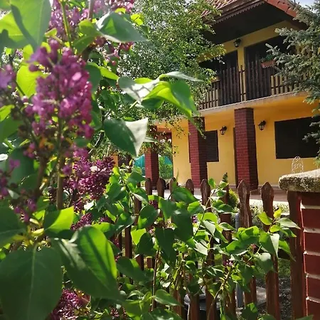 Akacvirag Vendeghaz Sarud
