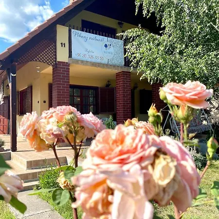 Akacvirag Vendeghaz Case de vacanță Sarud