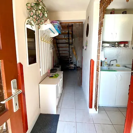 Akacvirag Vendeghaz * Sarud