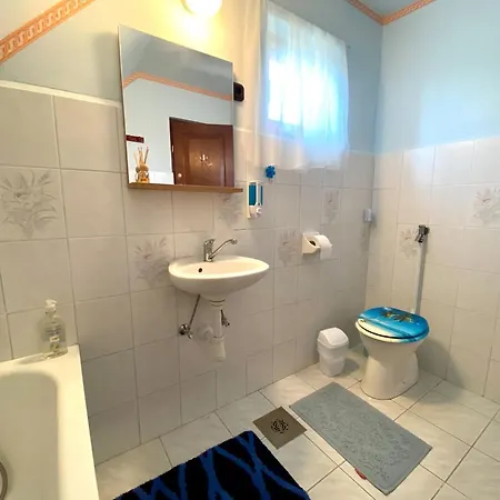 Akacvirag Vendeghaz *
