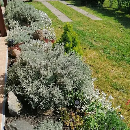 Akacvirag Vendeghaz Case de vacanță Sarud