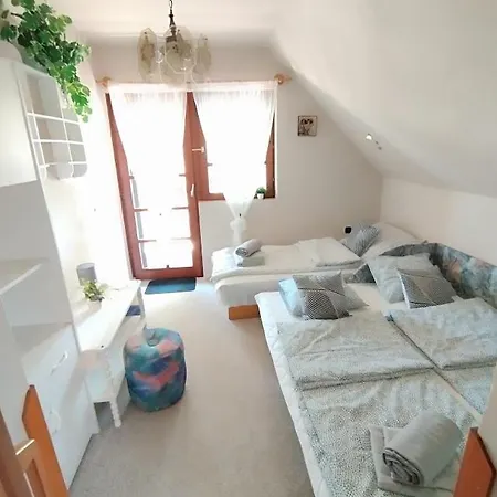 Akacvirag Vendeghaz Sarud