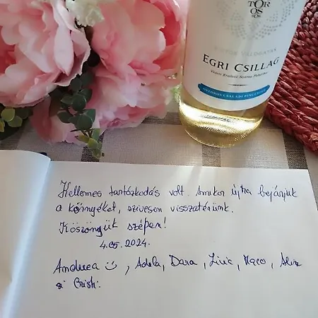 Case de vacanță Akacvirag Vendeghaz *