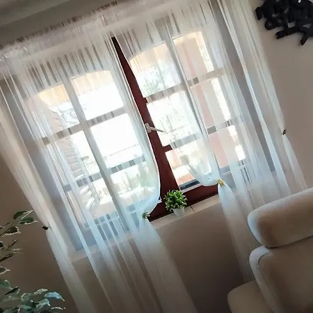 Akacvirag Vendeghaz * Sarud