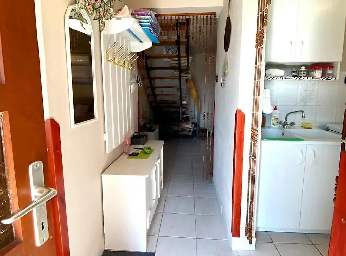 Akacvirag Vendeghaz * Sarud